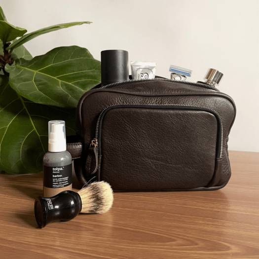 Elegant leather men's beauty bag SOLIER SZETLAND