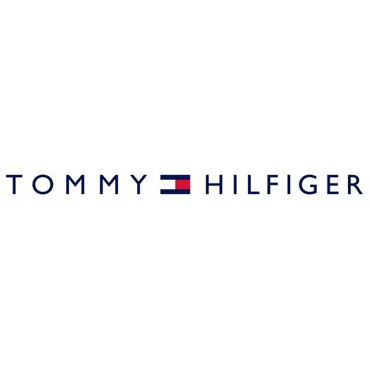 ZEGAREK MĘSKI TOMMY HILFIGER LEONARD 1791987 (zf089b) + BOX