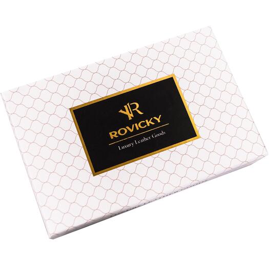 Rovicky RPX-27A-ML