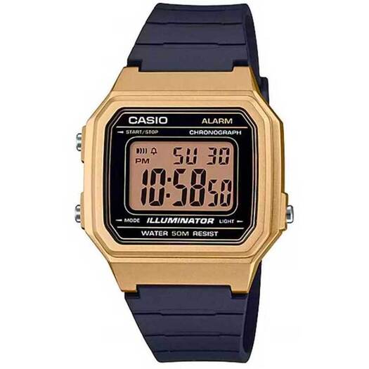 Laikrodis vyrams Casio Collection W-217HM-9A